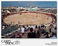 316-1620 x 1080---16L Camargue_2981